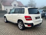 Mercedes-Benz GLK 250 CDI+4Matic+Motorschaden - Mercedes-Benz Motorschaden