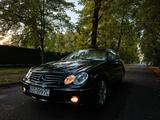 Mercedes-Benz CLK 500 Elegance - Mercedes-Benz CLK 500: Coupe