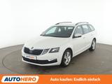Skoda Octavia 1.0 TSI Ambition*NAVI*TEMPO*PDC* - Skoda Octavia Gebrauchtwagen in Stuttgart