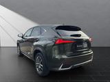 Lexus NX 300 h*EXECUTIVE*4x4*1HD* 15J-GARANTIE* - Lexus NX-Serie in Essen