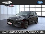 Ford Kuga ST-Line Sportpaket Bluetooth Navi LED Klima - Benzin Gebrauchtwagen in Worms