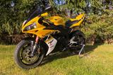 Yamaha YZF R1 Rn12 Kenny Roberts Sonderedition - YAMAHA 2006 R1