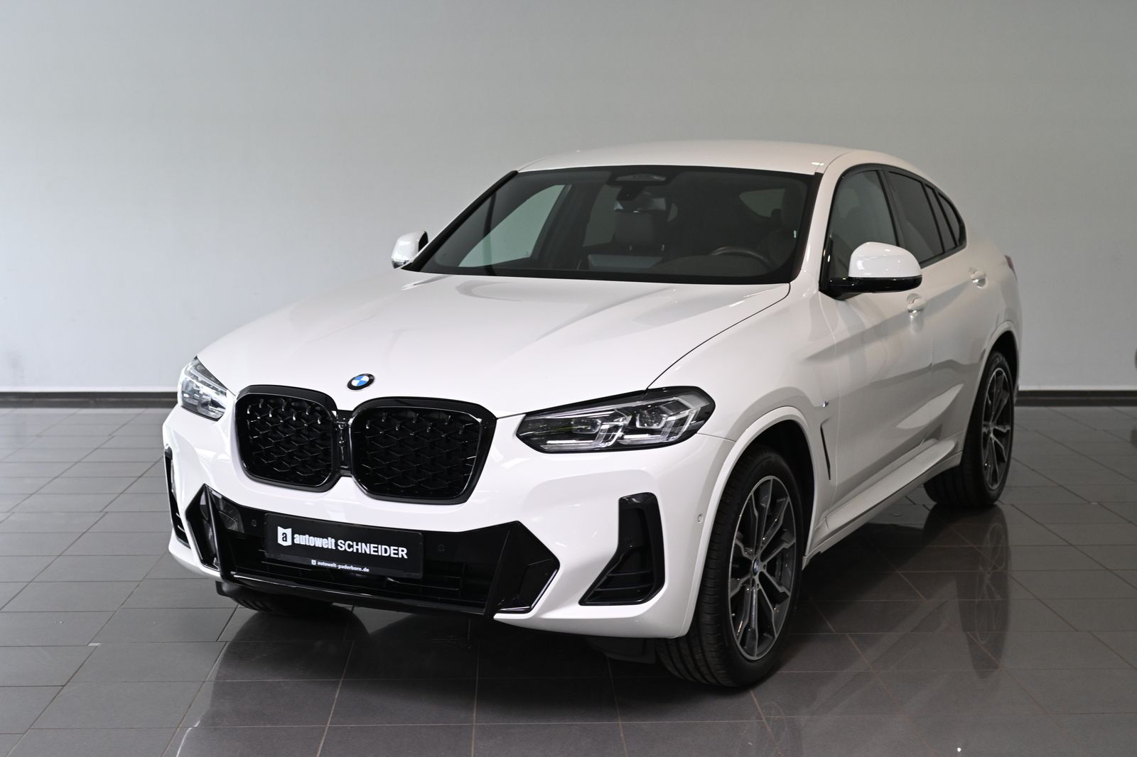 BMW X4 xDrive 30 d M Sport AHK Leder ACC 20"