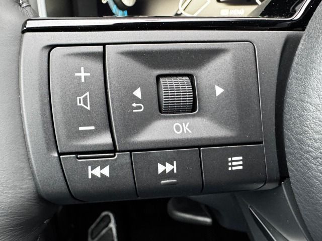 Fahrzeugabbildung Nissan Qashqai 1.5 VC-T e-Power Tekna 19`*PPPark*Leder