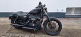 Harley-Davidson Sportster Iron XL883N  - HARLEY-DAVIDSON 2010 SPORTSTER 883