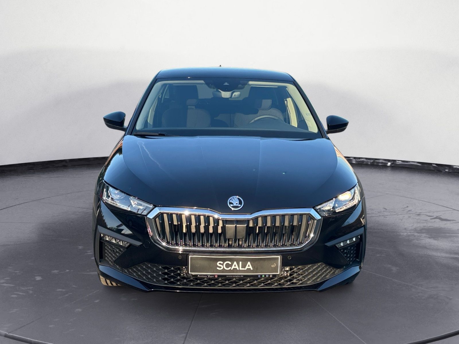 Scala Tour 1.0TSI DSG/Matrix/ACC/RFK 18Zoll