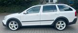 Skoda Octavia Combi Scout 4X4 - Skoda Octavia Scout mit Benzin-Antrieb