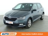 Skoda Fabia 1.0 TSI Ambition*NAVI*ACC*SHZ* - Skoda Fabia Gebrauchtwagen in München