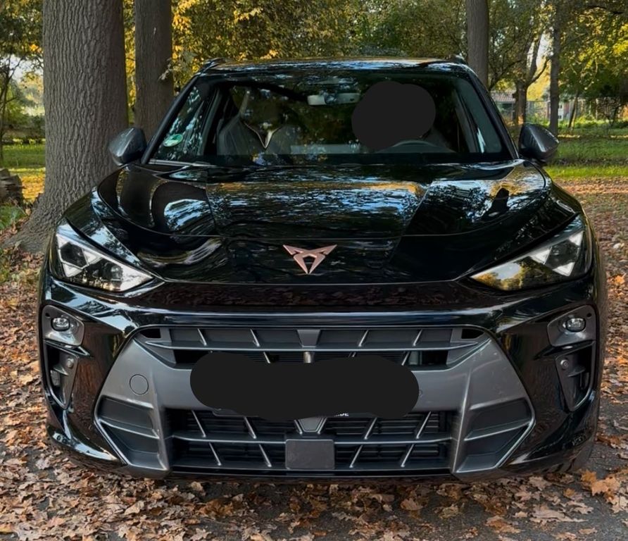 Image of Cupra Terramar