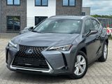 Lexus UX250 Hybrid Luxury Line*Nachlackierungsfrei - Lexus UX Gebrauchtwagen