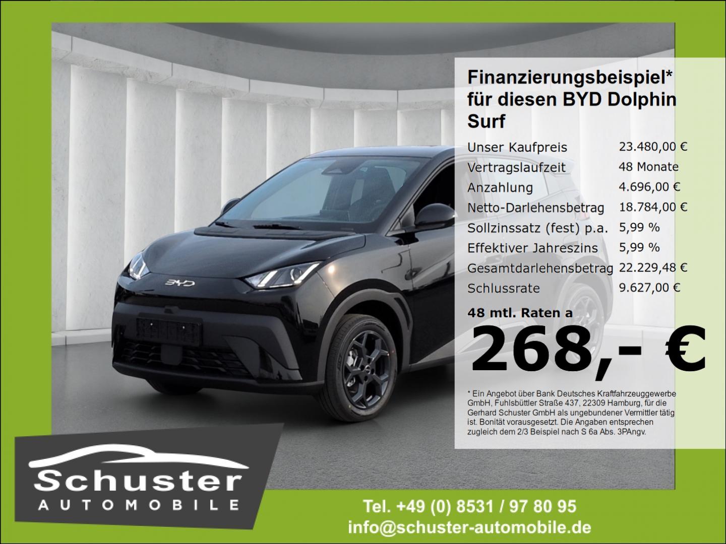 BYD DOLPHIN Dolphin Surf Boost*ACC Navi R-Kam Leder el.Sitze