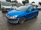Peugeot 307 Grand Filou Cool 110,AHK - Peugeot 307: Filou