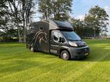 Fiat Ducato 2-Pferde-Transporter | Baujahr 2011  - Angebote