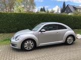Volkswagen Beetle 1.2 TSI BMT Design Design (Vollleder) - Volkswagen Beetle mit Panoramadach