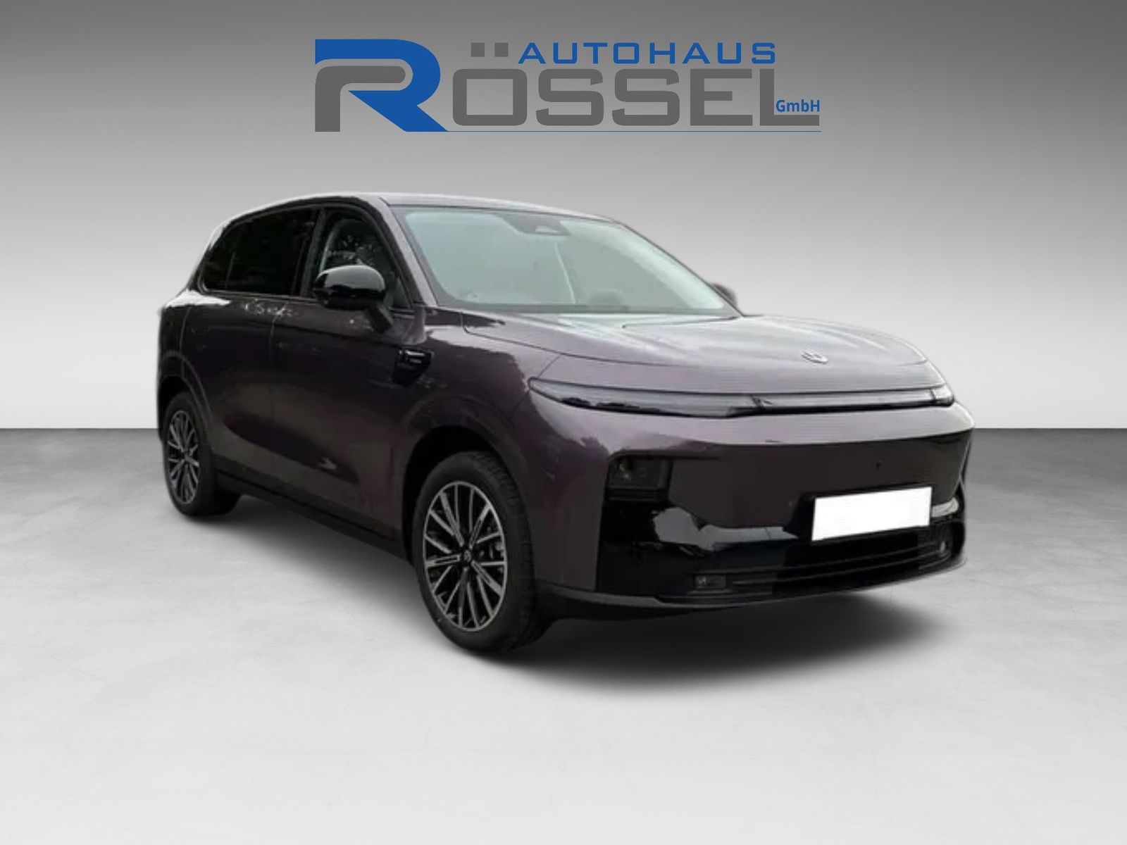 Leapmotor B10 67,1 kWh Design Pro Max 5 Jahre Garantie18" 