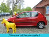 Peugeot 206 1.4*Benzin*KLIMA*TÜV*NEU* - Peugeot 206 in Magdeburg