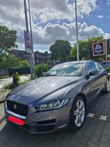 Jaguar XE Prestige 2.0 - Jaguar XE in Duisburg