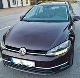 Volkswagen Golf 2.0 TDI Comfortline Variant Comfortline - : Violett, Massagesitze