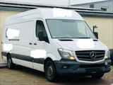 Mercedes-Benz Sprinter 316 CDI 1 Hand Automatik TÜV 07/26