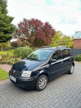Fiat Panda sehr sauberes Auto - Fiat: Sa