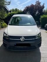 Volkswagen VW Caddy 1.2 TSI 2019 | Kastenwagen | Top Zustan