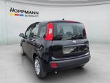 Fiat Panda Pop 1.0*KLIMA*PDC*RADIO*BLUETOOTH* - Fiat Panda: Pop