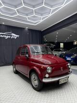 Fiat Cinquecento F - Fiat Cinquecento: Rot