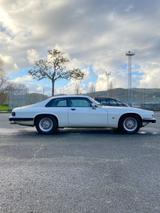 Jaguar XJS 4.0 - gebrauchte Jaguar XJS aus dem Jahr 1993