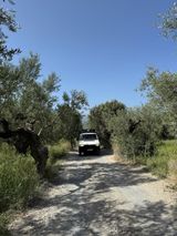 Volkswagen T4 Syncro - Volkswagen T4 syncro