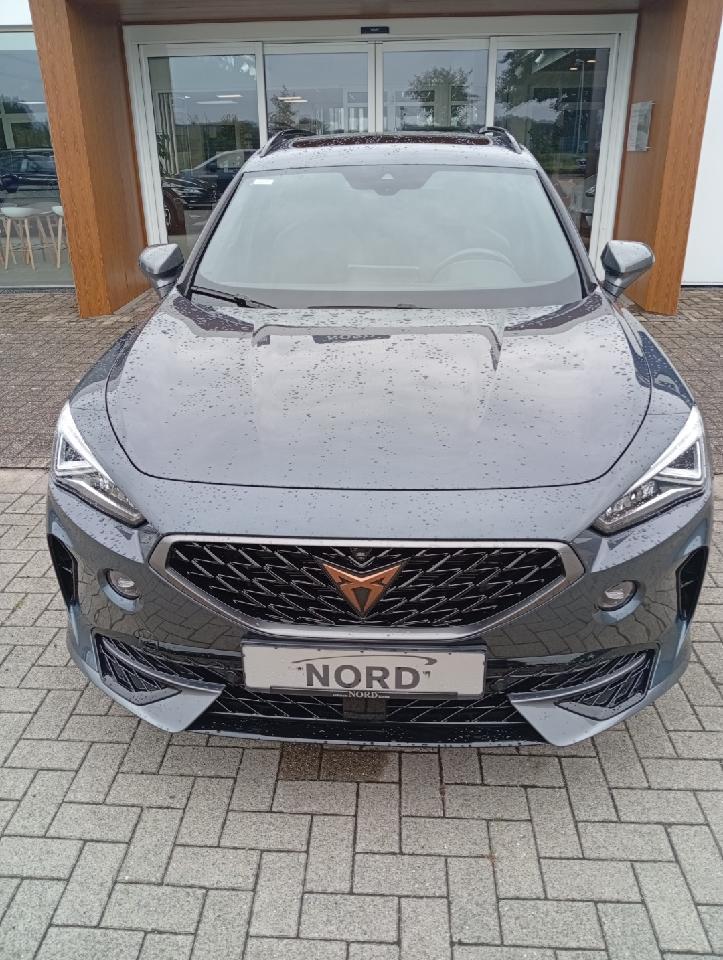 Cupra Formentor 2.0 TDI  4Drive Navi  Winter P.