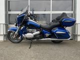BMW R 18 Transcontinental | ACC | Marshall Gold Stag - BMW R 18 TRANSCONTINENTAL