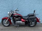 Suzuki VL 800 INTRUDER - SUZUKI V 800