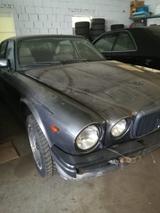 Jaguar XJ Arden,  12 zylinder 1987 - Jaguar: Arden