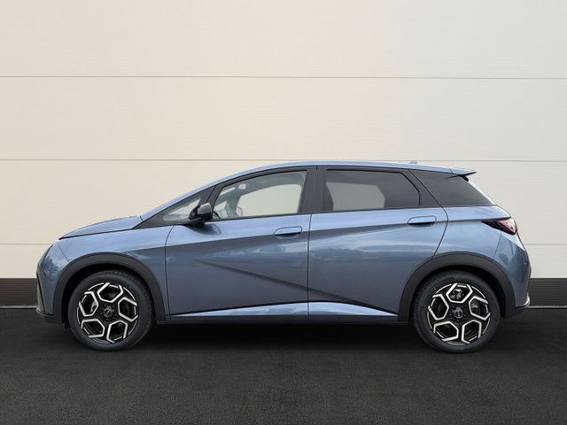 BYD Dolphin Design