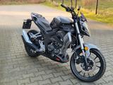 UM Xtreet 125 RS - Showroom condition - UM MOTORRAD