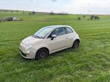 Fiat 500 1.2 8V Lounge  - Fiat 500: Braun