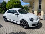 Volkswagen Beetle 1.2 TSI CUP CUP - Volkswagen Beetle in Dresden
