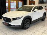 Mazda CX-30 Basis 2WD |LED|ACC|DAB|AHK|HUD|PDC| - Mazda CX-3 aus 2020