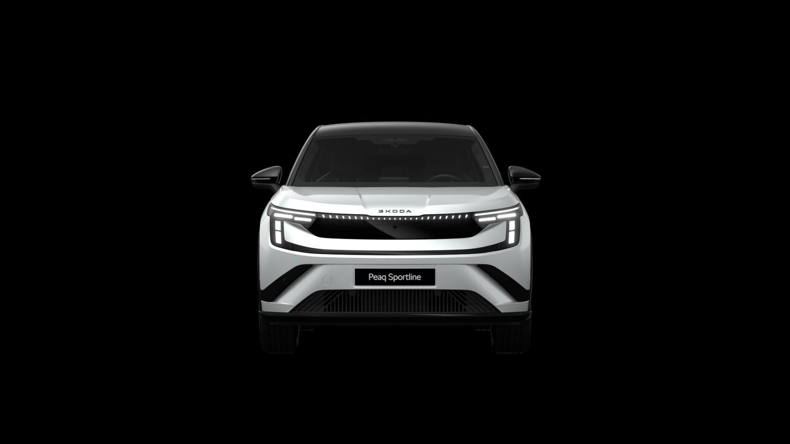 Skoda Andere - Bild 6