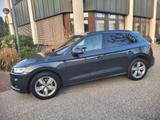 Audi Q5 45 TDI quattro sport S-Line Voll- Pano-MATRIX - Audi Q5: Grau