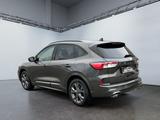 Ford Kuga ST-Line X 2.5 FHEV Hybrid Automatik ACC LED - Ford Kuga Jahreswagen