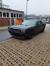 Dodge Challenger - Dodge Challenger aus 2014