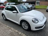 Volkswagen Beetle Lim. Design - Volkswagen Beetle: Weiß