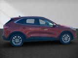 Ford Kuga 1.5 TITANIUM Allwetter Kamera Shz Lhz - Ford mit Benzin-Antrieb: Ka Titanium