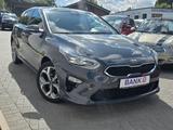 Kia cee'd -Pano/Leder/MotorNeu!- - Kia aus 2019