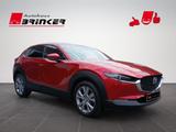 Mazda CX-30 Selection 2WD Rückfahrkamera ACC - Mazda CX-30 in Bielefeld