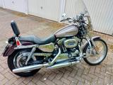 Harley-Davidson Sportster XL 1200 C - HARLEY-DAVIDSON 2007 SPORTSTER 1200