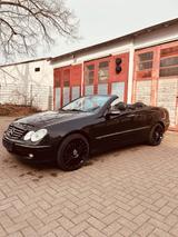 Mercedes-Benz CLK 240    Cabrio/Avantgarde/Leder/Automatik/ - Mercedes-Benz CLK 240: Cabrio