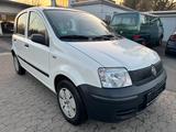 Fiat Panda 1.1 8V Active*TÜV NEU*1. HAND* - Fiat Panda Gebrauchtwagen in Braunschweig