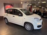 Fiat Pandina ICON Hybrid 1.0 GSE Vorführwagen - Fiat Panda Pandina mit Hybrid-Antrieb (Benzin/Elektro)